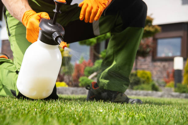 Best Termite Control Services  in Billington Heights, NY