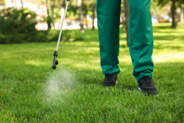 Best Pest Prevention Services  in Billington Heights, NY