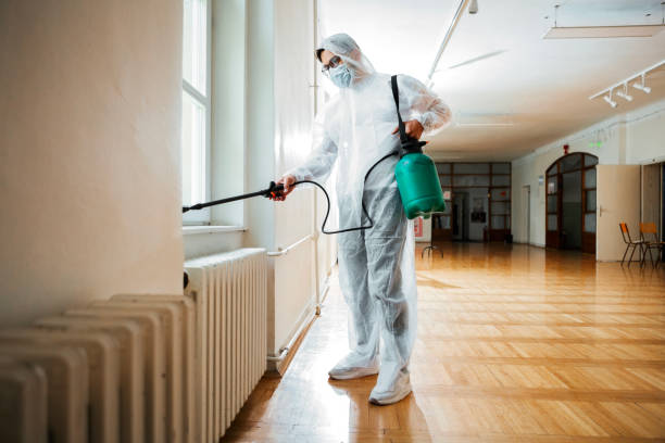 Best Local Pest Control Services  in Billington Heights, NY