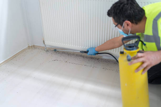 Best Wasp Removal Services  in Billington Heights, NY