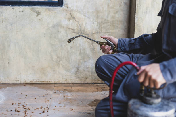 Best Residential Pest Control  in Billington Heights, NY