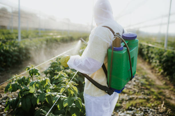 Trusted Billington Heights, NY Pest Control Experts